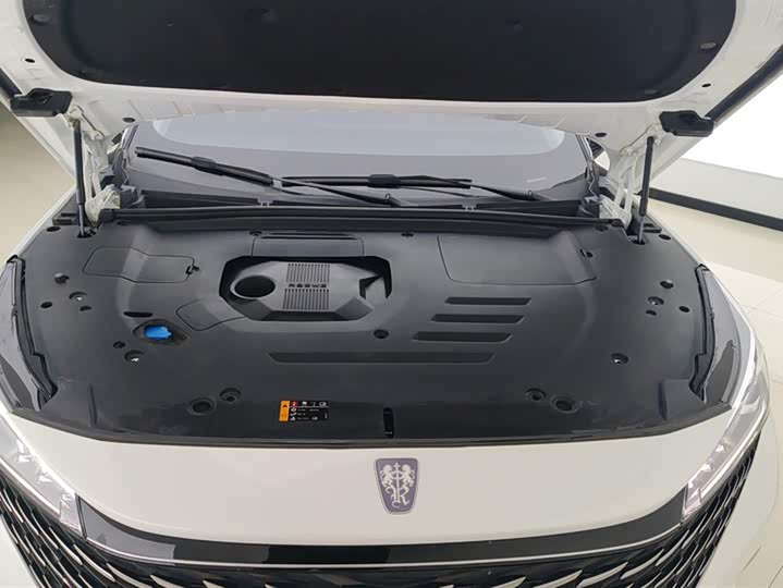 Фото 10 - Roewe RX5