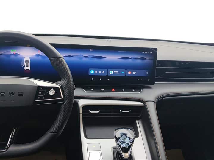 Фото 13 - Roewe RX5