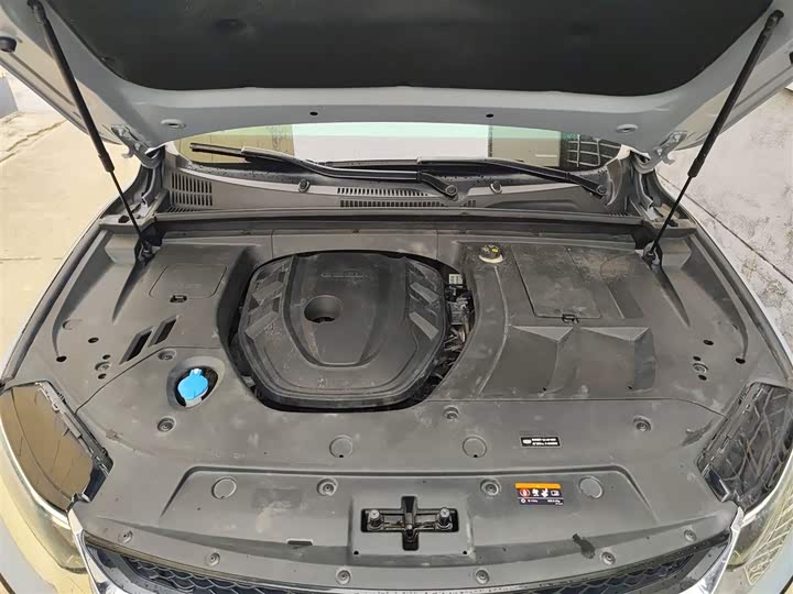 Фото 10 - Geely Tugella S