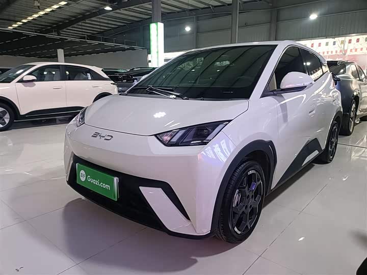 Фото 1 - BYD Seagull