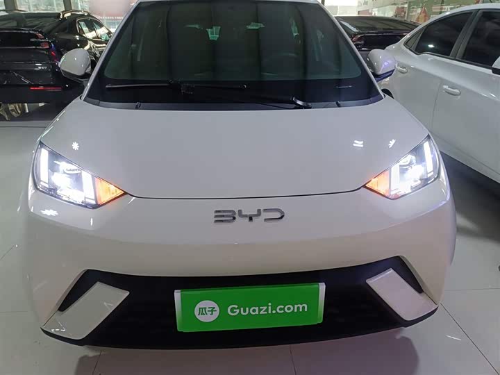 Фото 3 - BYD Seagull