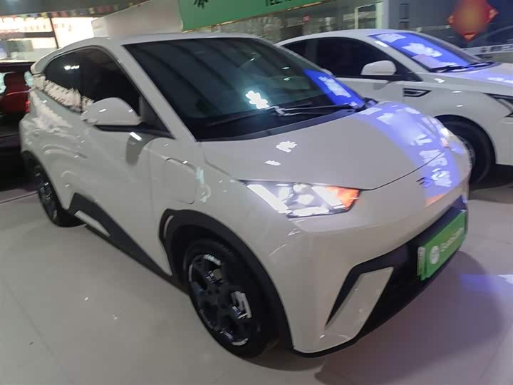 Фото 4 - BYD Seagull