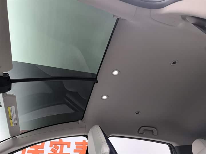 Фото 14 - XPeng G3