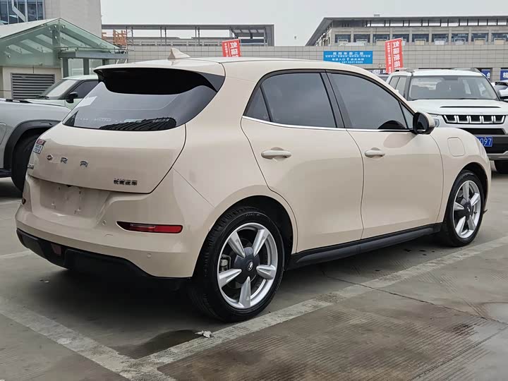 Фото 8 - Ora Good Cat (03)