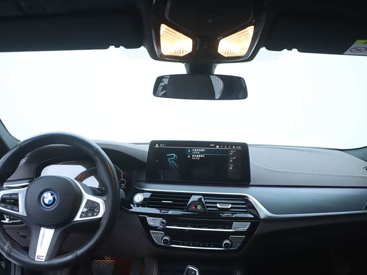 Фото 18 - BMW 5 Series Hybrid