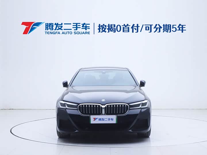 Фото 2 - BMW 5 Series Hybrid