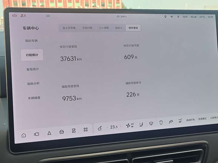 Фото 11 - LiXiang Mega