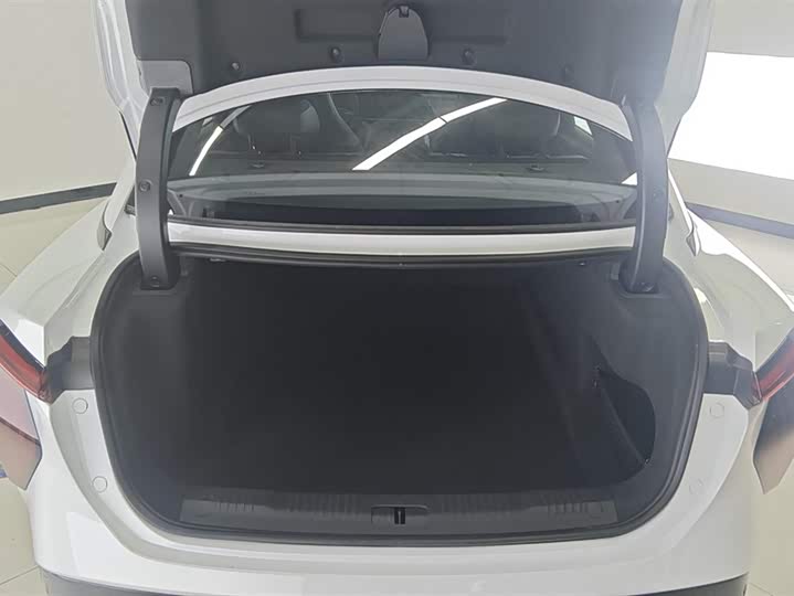 Фото 4 - Hongqi EH7