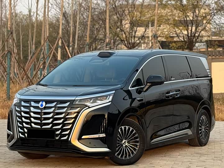 Фото 1 - Denza D9