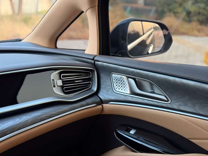 Фото 11 - Denza D9