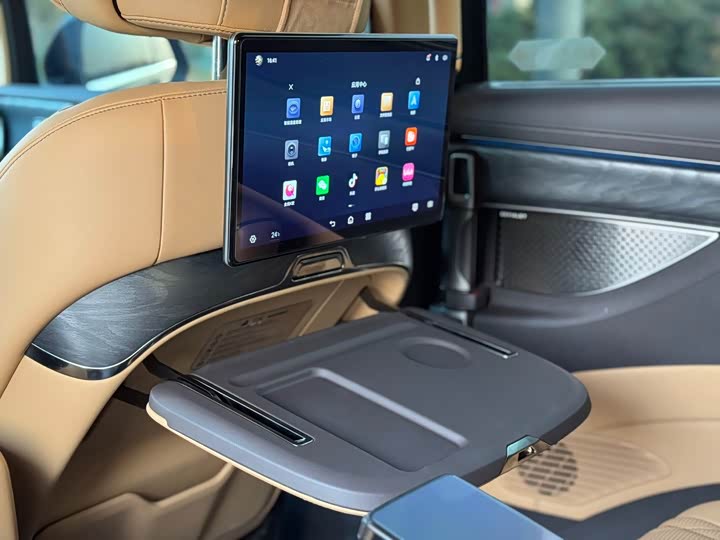 Фото 15 - Denza D9