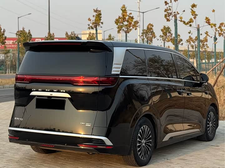 Фото 17 - Denza D9