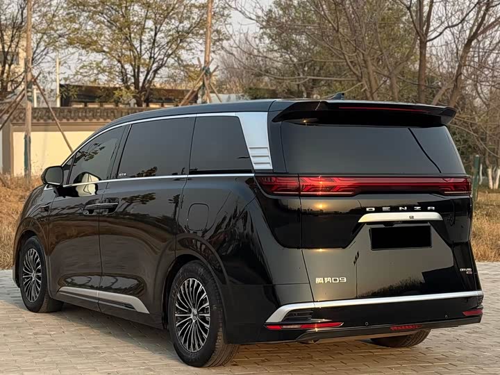 Фото 19 - Denza D9