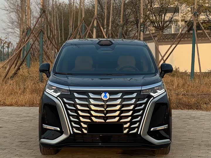 Фото 3 - Denza D9