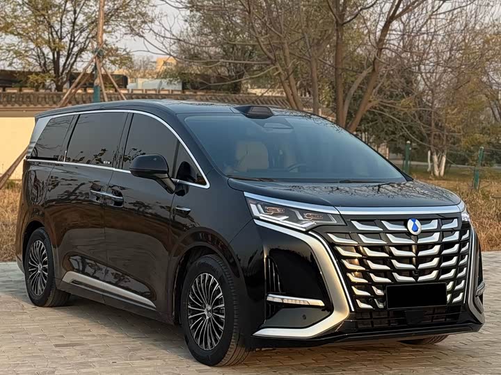 Фото 4 - Denza D9