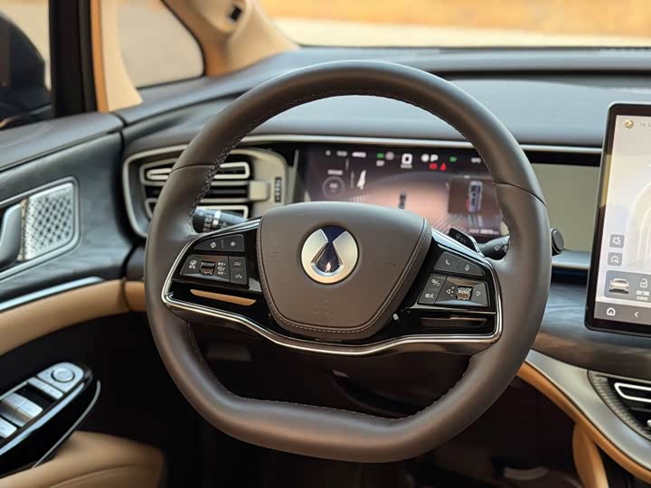 Фото 9 - Denza D9