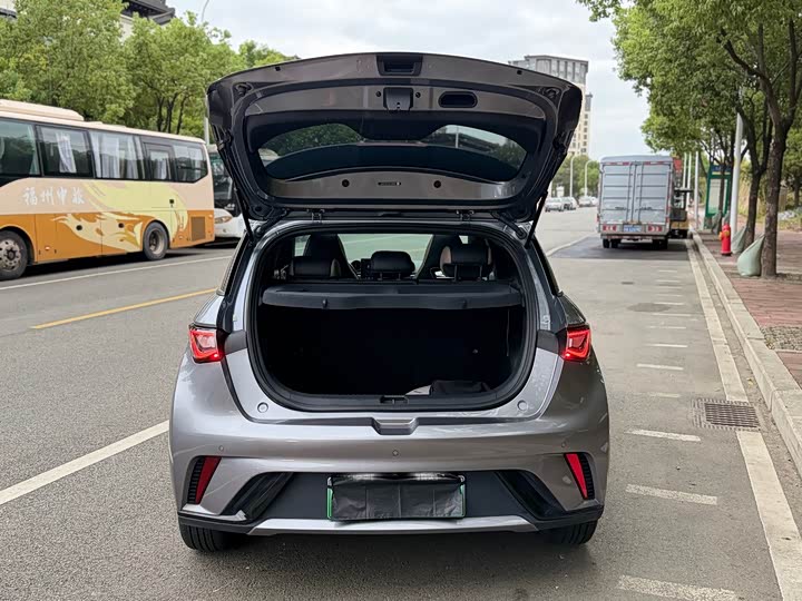 Фото 11 - BYD Dolphin