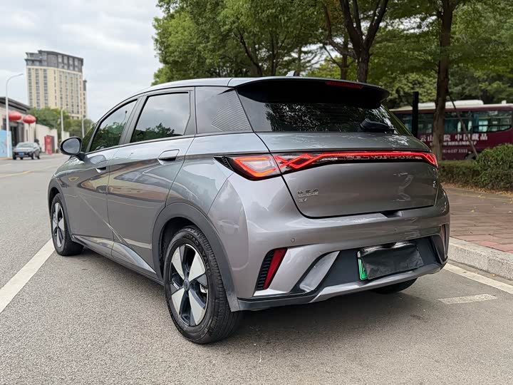 Фото 4 - BYD Dolphin