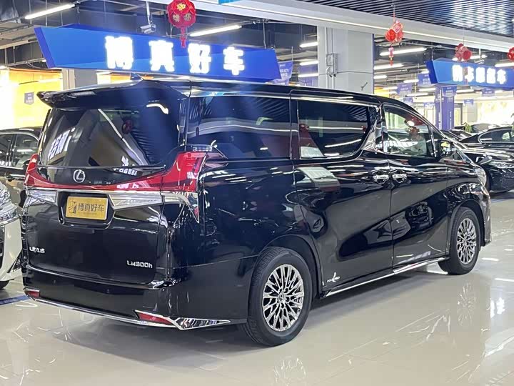 Фото 12 - Lexus LM