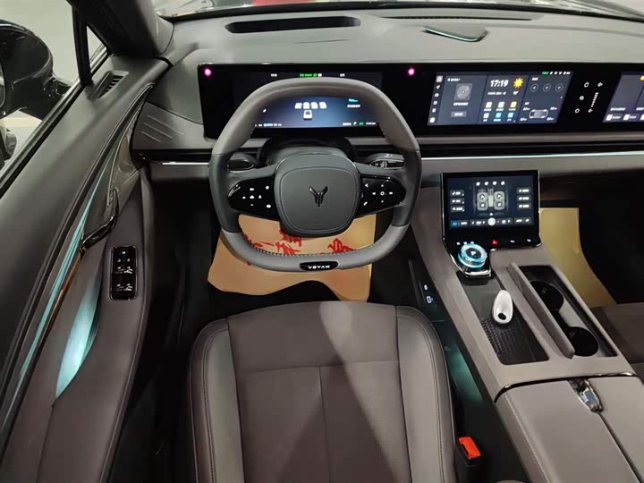 Фото 11 - Voyah Passion