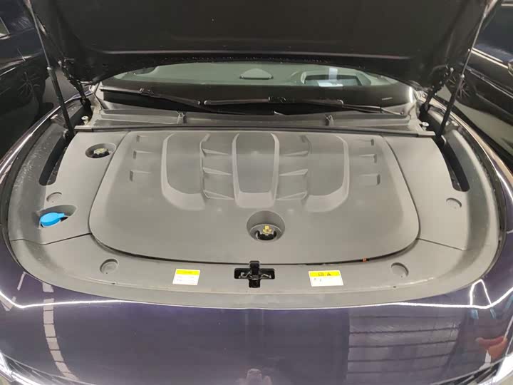 Фото 20 - Voyah Passion