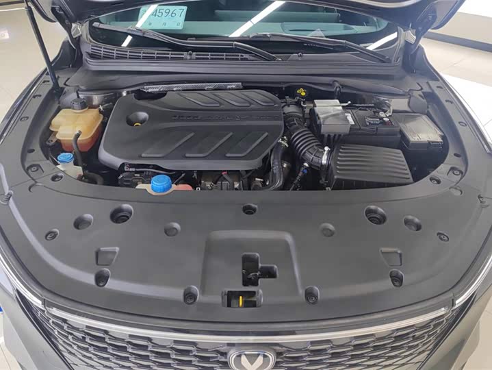 Фото 10 - Changan Raeton Plus