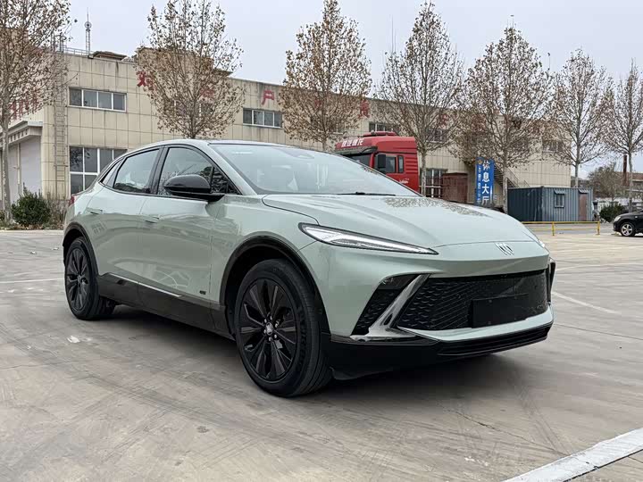 Фото 3 - Buick Electra E4