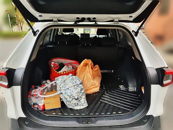 Фото 10 - Toyota Wildlander