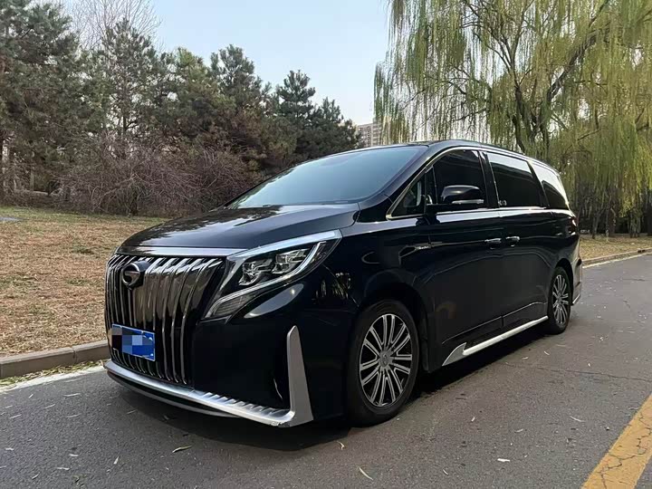 Фото 1 - GAC Trumpchi M8