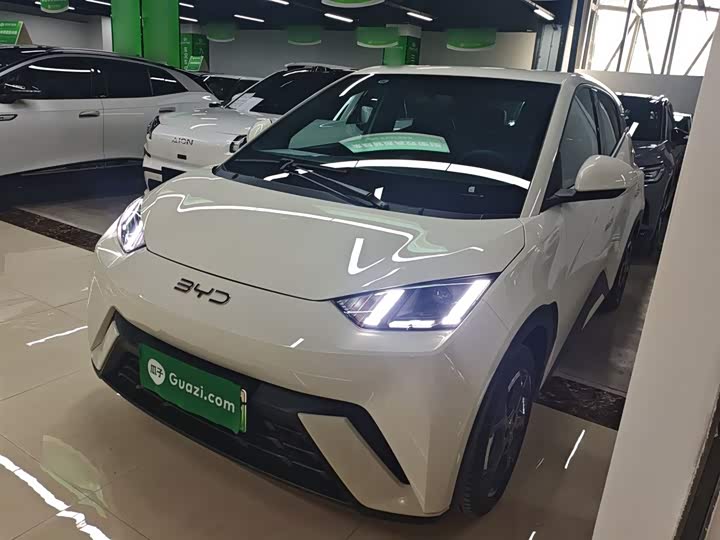 Фото 1 - BYD Seagull