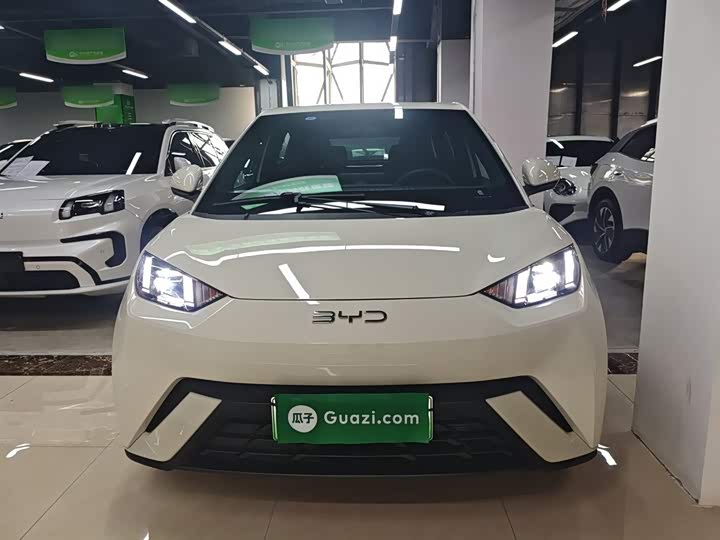 Фото 3 - BYD Seagull