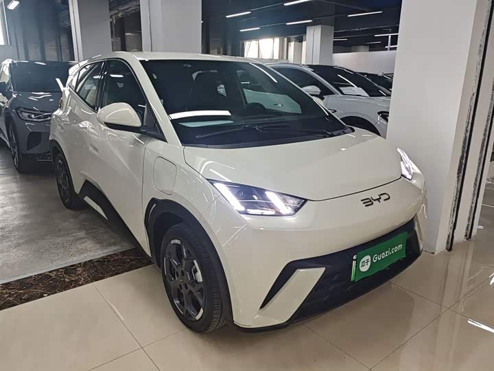 Фото 4 - BYD Seagull