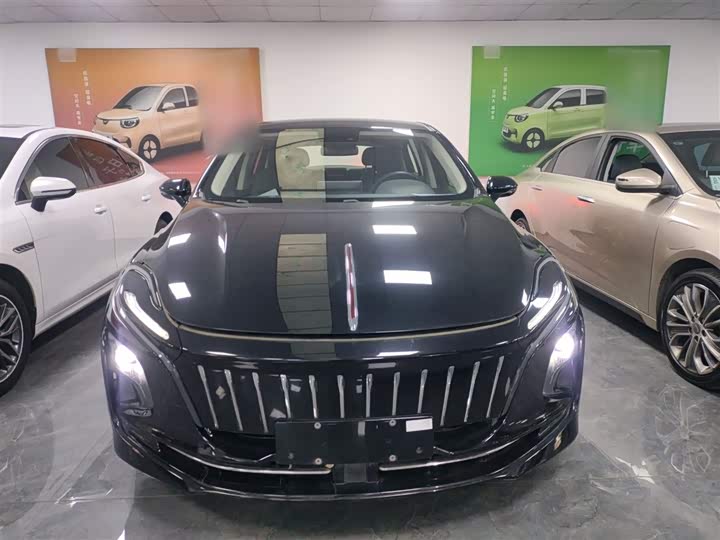 Фото 3 - Hongqi E-QM5