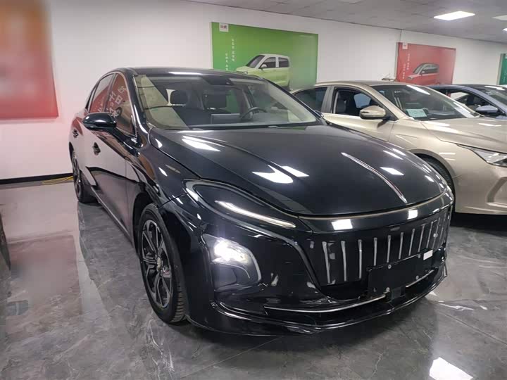 Фото 4 - Hongqi E-QM5