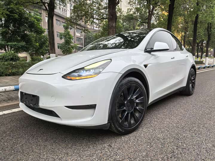 Фото 1 - Tesla Model Y