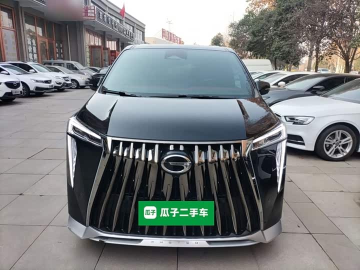 Фото 3 - GAC Trumpchi M8