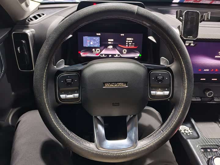 Фото 10 - Haval Dargo