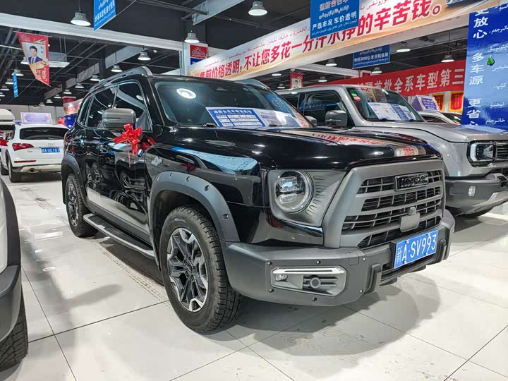 Фото 3 - Haval Dargo