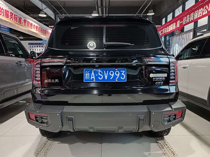 Фото 8 - Haval Dargo