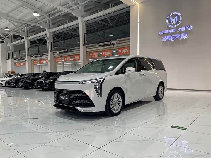 Фото 1 - Buick GL8 Century