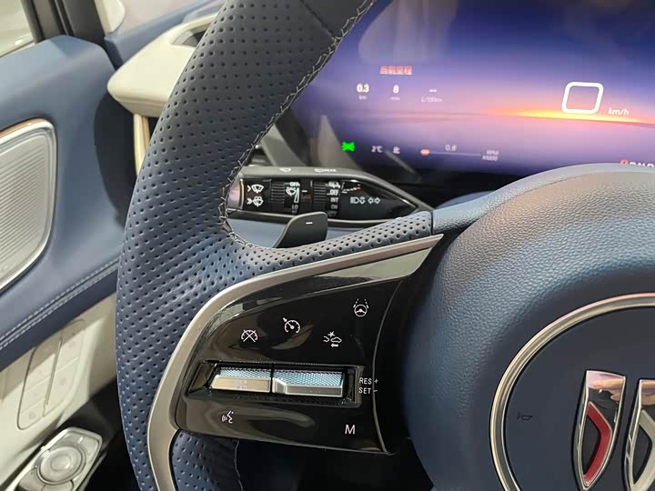 Фото 11 - Buick GL8 Century