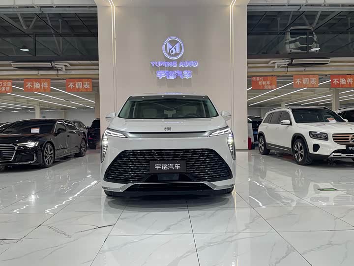 Фото 2 - Buick GL8 Century