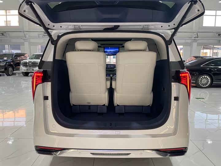 Фото 31 - Buick GL8 Century