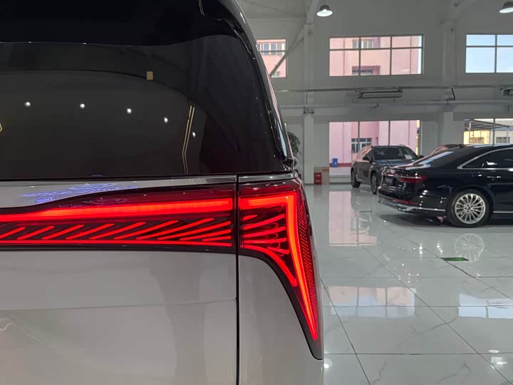 Фото 36 - Buick GL8 Century