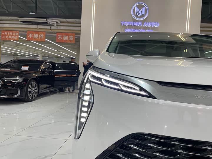 Фото 37 - Buick GL8 Century