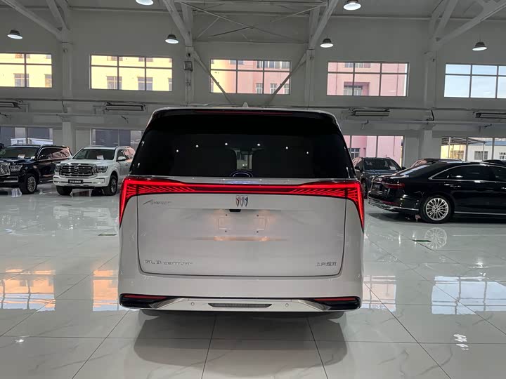 Фото 5 - Buick GL8 Century