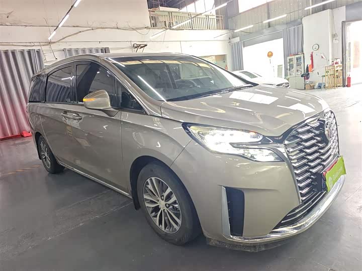 Фото 4 - Buick GL8 ES