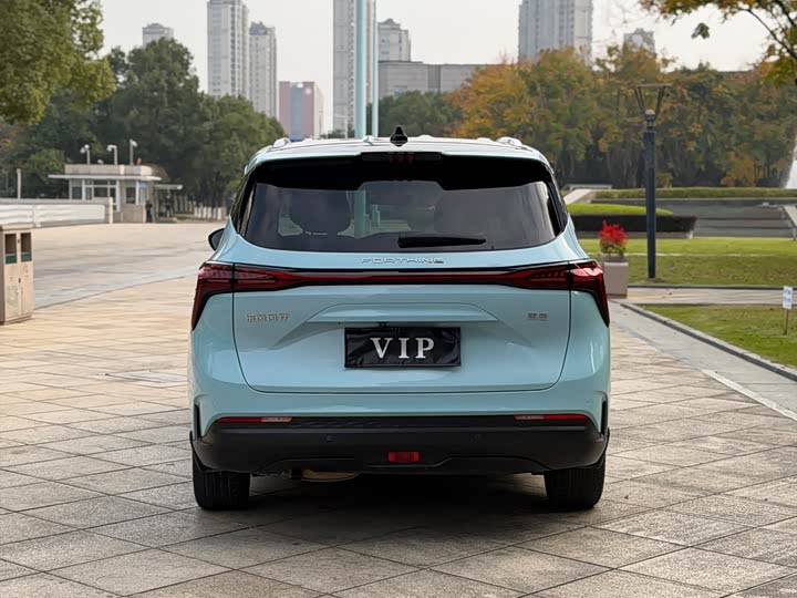 Фото 5 - Dongfeng Forthing Yacht