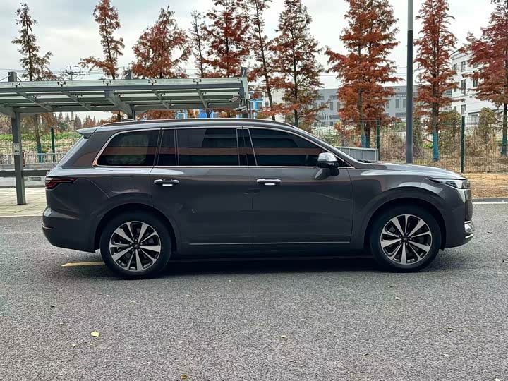 Фото 3 - LiXiang One