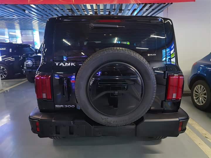 Фото 6 - Tank 300